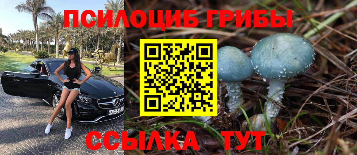 Псилоцибиновые грибы GOLDEN TEACHER  Вход с VPN  продажа наркотиков  Туапсе 